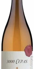 Lagar de Pintos, `3000 Cepas` Rías Baixas Albariño, WEIßWEIN (case of 6x75cl) Spanien/Galicia