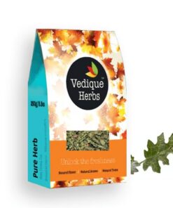 VEDIQUE HERBS Kantakari (Solanum xanthocarpum) – 250 g | roh, roh, getrocknet | T-Cut | Premium Grade
