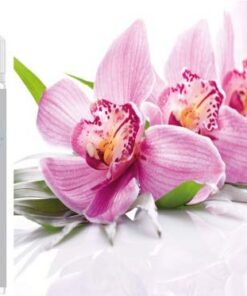 Orchidee Aroma Konzentrat - Vegan - Sasami - 100ml