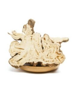 100% natürlicher chinesischer getrockneter Atractylodes Lancea Rhizom in großen Mengen Baizhu Kräutertee (500g)