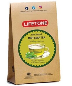 Tropischer Pfefferminz-Kräutertee | 20 Teebeutel | Ganze Minze Kräuter | 100% natürlich