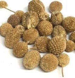QURA GORAKHMUNDI |SPHAERANTHUS Dry 100GMS)
