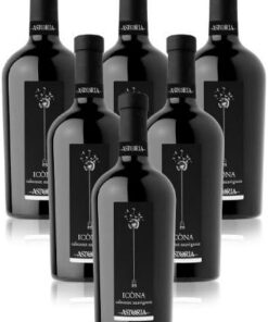 Cabernet Sauvignon Icòna Doc Astoria Italienischer Rotwein (6 flaschen 75 cl.)