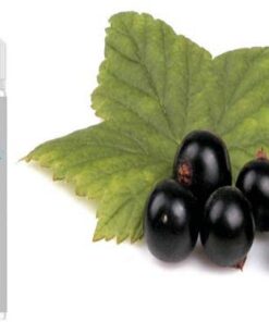 Açaí - Acai Beere Aroma Konzentrat - Vegan - Sasami - 100ml