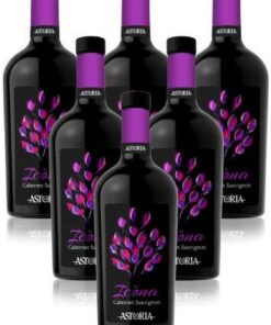 Cabernet Sauvignon"Icòna" DOC, 13,0%, 6x 0.75 Liter