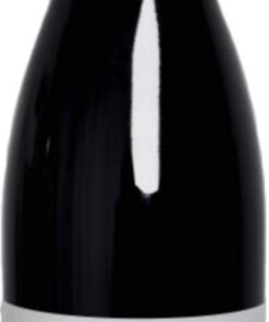 Valtuille Vino de Villa - 2019 - Castro Ventosa