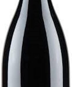 Côte Rotie Lancement - 2019 - Domaine Garon