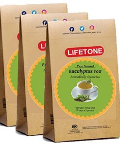Eukalyptusblatt-Tee | Immunitätsverstärker | Köstlicher aromatischer Tee (60 Teebeutel)