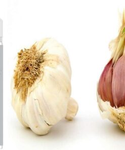 Knoblauch Aroma Konzentrat - Vegan - Sasami - 100ml
