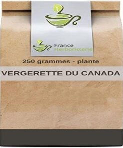 Kräutertee Kanadische Eberesche (Erigeron) Pflanze CT 250 GRS Erigeron Canad