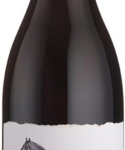 Percheron Old Vine Cinsault, Western Cape (Case of 6x75cl), Südafrika/Western Cape&Swartland, Rotwein (GRAPE CINSAULT 100%)