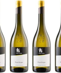 6x Pinot Grigio 2018 - Kellerei Kaltern, Südtirol - Weißwein