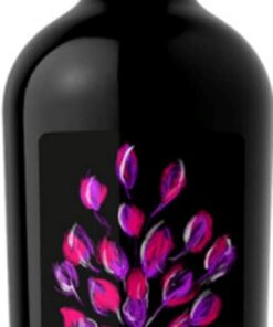 Icona Cabernet Sauvignon Venezia 2021 (1x 0,75L) | trocken | Rotwein | Italien | Cabernet Sauvignon