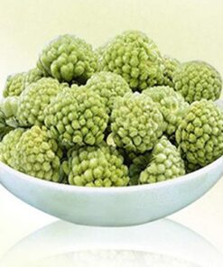 Tibet grüner Rettich Tee 50g (0.11LB) Shirley wilde Blume Tee Natur duftender Tee FÜR SCHÖNHEIT Kräutertee Botanischer Tee Kräutertee Grüner Tee Roher Tee Blumen Tee Gesundheit Tee Chinesischer Tee