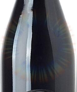 Montepulciano d' Abruzzo Villa Gemma DOC - 1999-1,5 lt. - Gianni Masciarelli