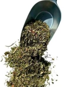 Kräutertee Waldmeister 100 GRS Pflanze Asperula odorata