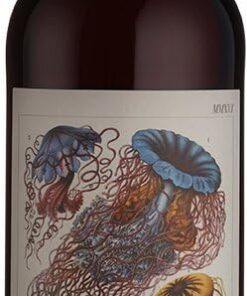 Primordial Soup Red Blend (Case of 6x75cl), Südafrika/Western Cape, Rotwein (GRAPE BLEND 100%)