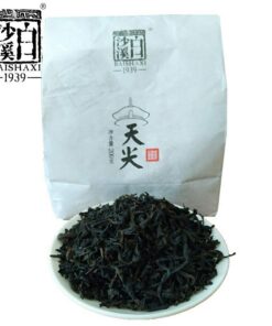 Loser Tee 200g Anhua Baishaxi Tribute Tianjian Dunkler Tee