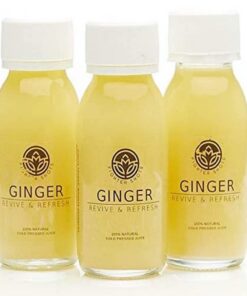 Fighter Shots Ingwer Shot 60 ml