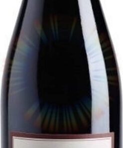 Hermitage AOC - 2016 - Domaine Yann Chave