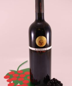 Refosco Peduncolo Rosso - 2013 - Volpe Pasini