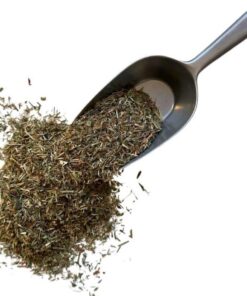 Kräutertee Vogelknöterich Pflanze 250 GRS Polygonum aviculare