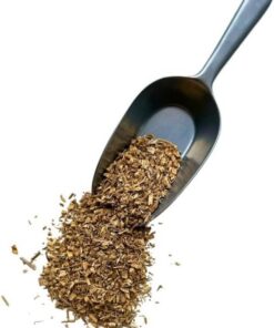 Kräutertee Dornige Fragon 250 GRS (Kleine Stechpalme) Rhizom Ruscus aculeatus.