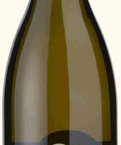 Pinot Grigio - 2019 - Jermann