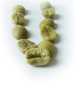 Brasilianische grüne Kaffeebohnen Grüner Schlankheitskaffee Kräutertee Kräutertee Grüner Tee 500g Fatburner Roher Tee Grüner FettabbauteeGesundheitstee Chinesischer Tee