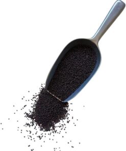 Kräutertee Schwarzer Senf 1 KILO VOLLSTÄNDIGER Samen.
