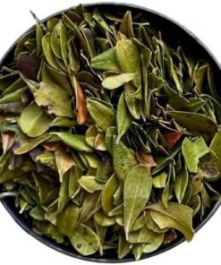 Kräutertee Bärentraube (Bärentraube) GANZES Blatt 1 KILO Uva ursi