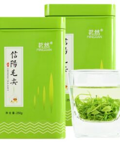 Neu Grüner Tee China Xinyang Maojian Tee Mao Jian Spezialität Tee 250g