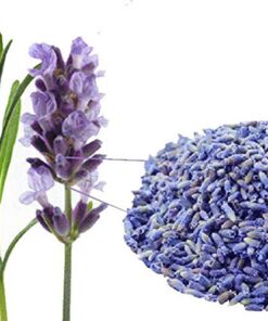 50g (0,11LB) Lavendel getrocknete Blume Tee chinesische Kräuter gut für Schlaf Kräutertee duftenden Tee Botanischer Tee Kräuter Tee Grüner Tee Roh Tee Blumen Tee Gesundheit Tee Chinesischer Tee