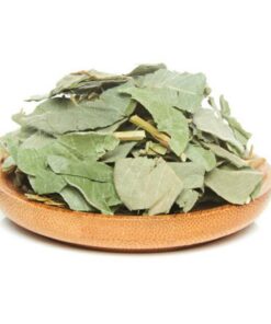 100% natürliche Lysimachia Christinae Hance in großen Mengen Jinqiancao Pflanzliche Gesundheitspflege (500g)