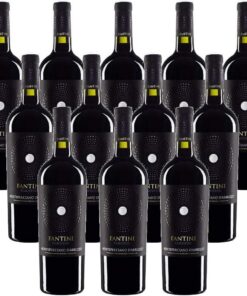 Montepulciano D'Abruzzo DOC Fantini (12 flaschen 75 cl.)