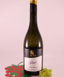 Weissburgunder Vial - 2019 - Kellerei Kaltern
