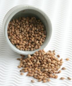 Ganze mahlepi Samen mahleb mahlab mahlep traditionellen Spice für Gebäck auf 50 gr