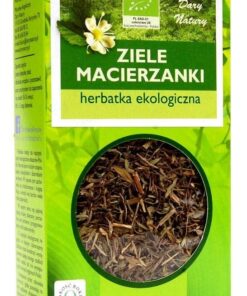TEE AUS THYMIAN-KRAUT BIO 25 g - DARY NATURY