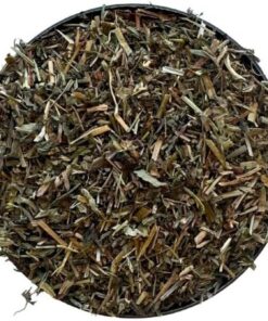 Kräutertee Veronika Pflanze TK 1kg Veronica officinalis