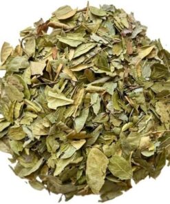 Kräutertee Boldo Blatt 1 KILO Peumus boldus.