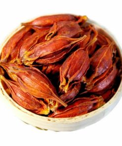 100% natürliche Kap-Jasmin-Frucht Gardenie Zhi Zi chinesische Spezialkräuter-Partikel (500g)
