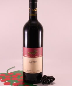 Cuvee Tirolensis Weinberg Dolomiten Rot - 2020 - Tirolensis Ars Vini