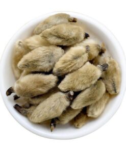 Bio Lilliflorae Magnolienblütenknospen Xin Yi Hua Loser Kräutertee Befreit Die Nasengänge Chinesischer Magnolien Kräutertee Frei Von Zusatzstoffen Zum Aufbrühen Getränk (250g)