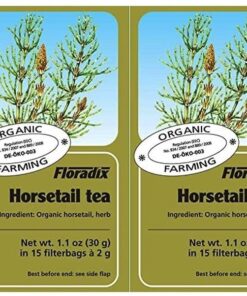 Tudor Floradix Bio Schachtelhalm Kräutertee 15 Beutel 2 Stück