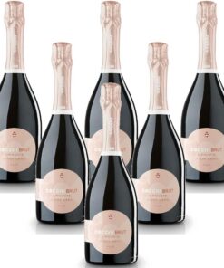 Cocchibrut Rosè Piemonte DOC Piemonte DOC (6 Flaschen 75 cl.)