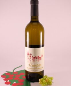 Souvignier Gris Paladin - 2014 - Weingut Schloss Campan