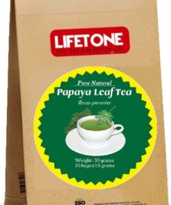 Lifetone Papayablatttee 1,5 Gramm x 20 Teebeutel