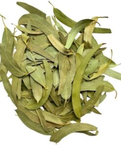 Kräutertee Eukalyptus Blatt 250 GRS VOLLSTÄNDIG extra Eucalyptus globulus