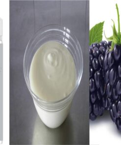 Joghurt Brombeere Aroma Konzentrat - Vegan - Sasami - 100ml