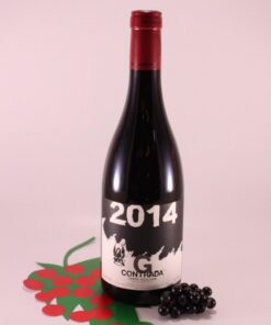 Terre Siciliane Rosso Guardiola - 2015 - Weingut Passopisciaro